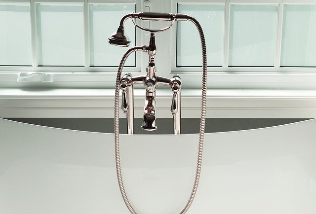 tree roots bathtub
